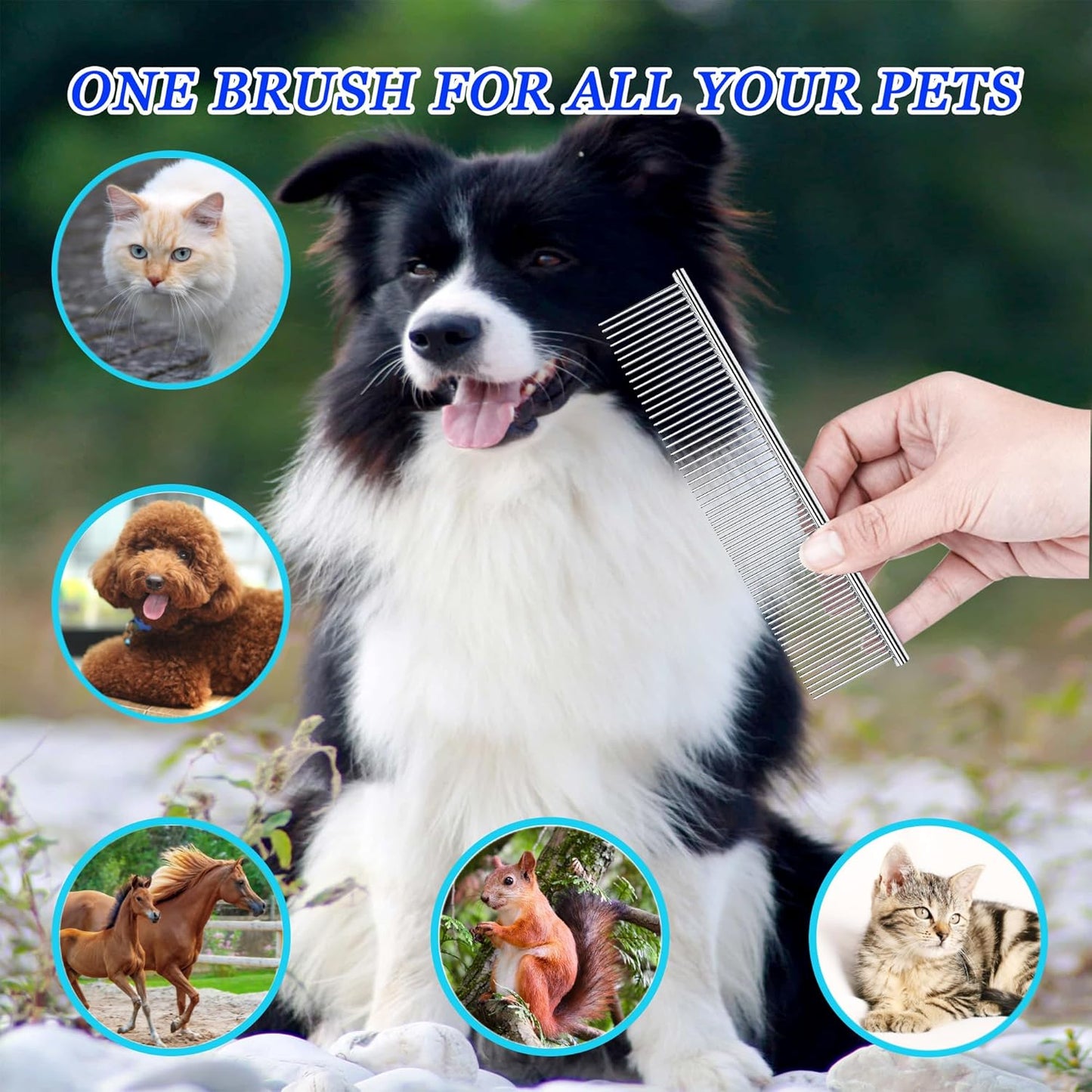 Dog Comb and Cat Combs Stainless Steel Teeth, Grooming Tool for Long & Short Hair, Dematting Comb for Dogs, Removes Tangles & Knots (Small Silver)