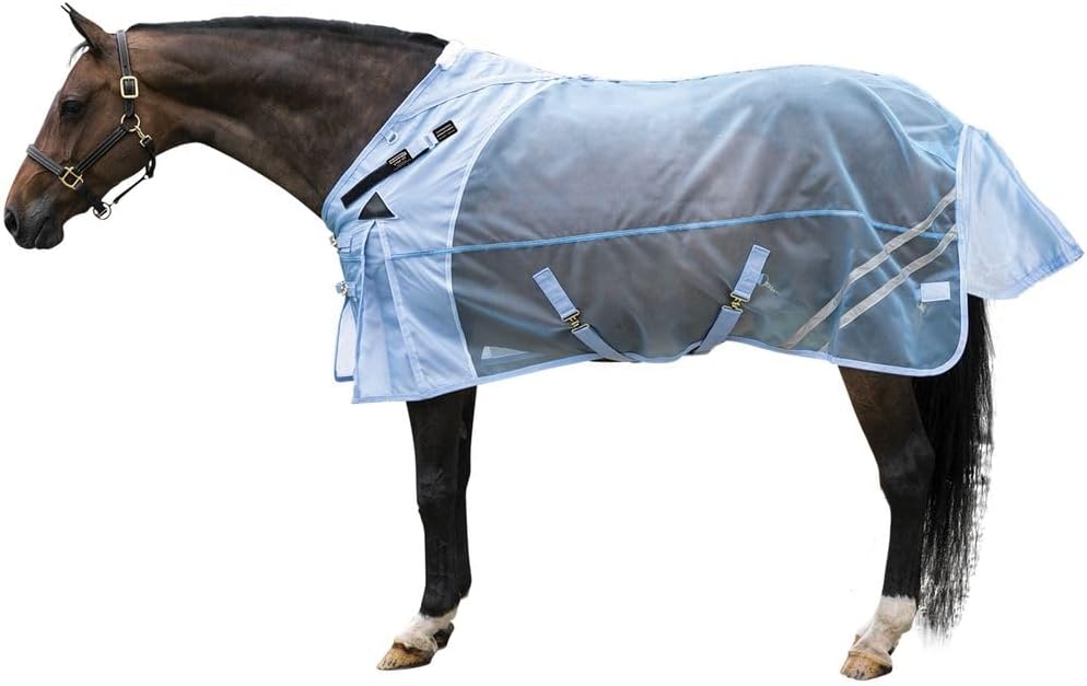 Horse Blankets & Sheets