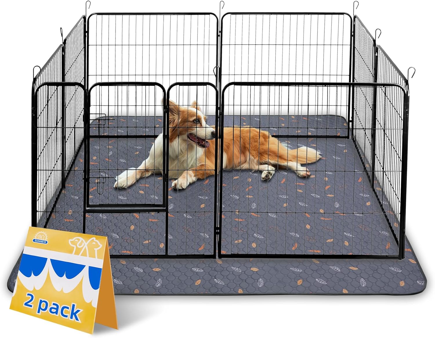 Litter & Housebreaking