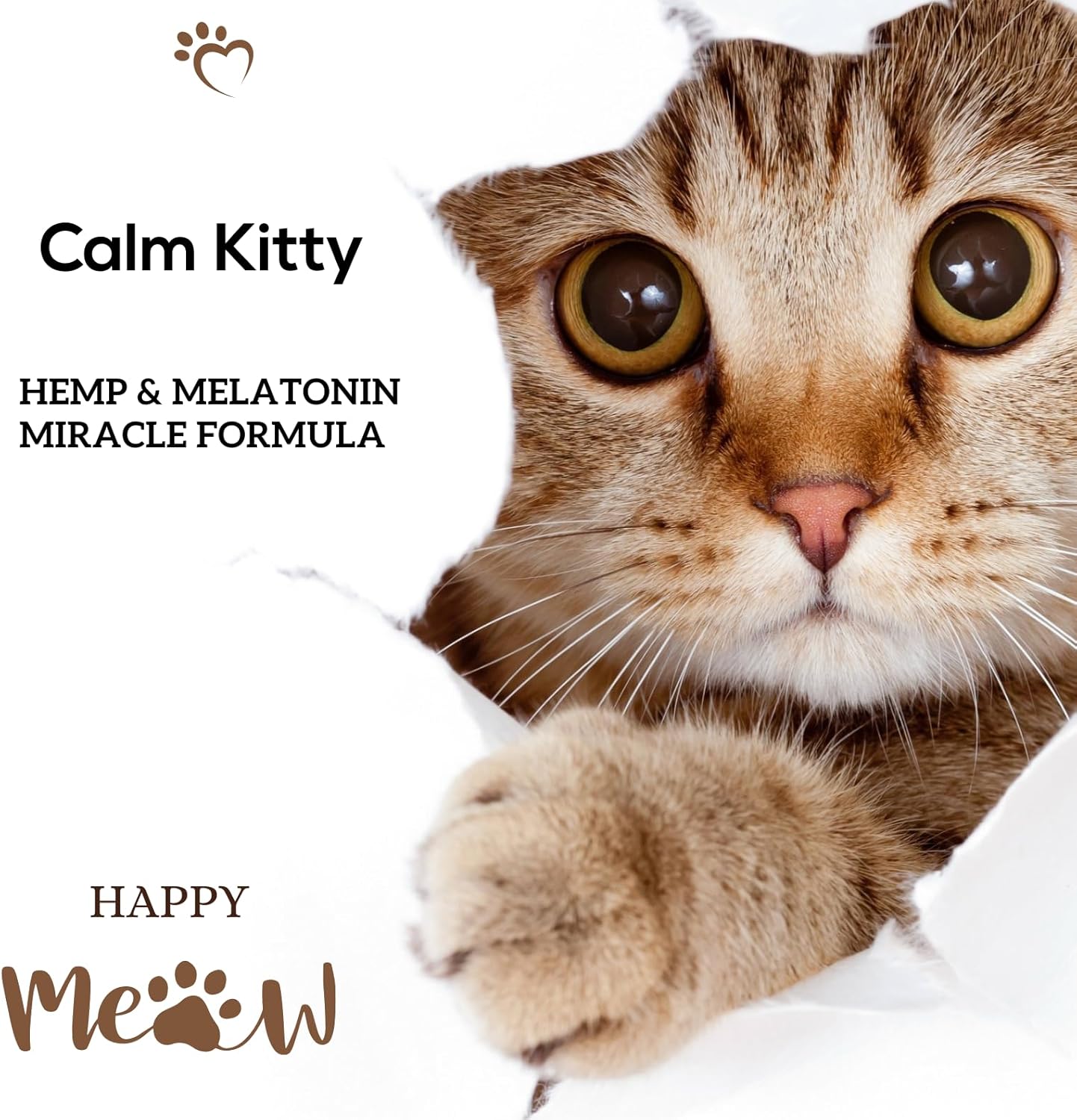 Busters 2Pack Calming Hemp Oil for Dogs, Cats, Infused with MELATONIN, Sleep Support, Soothing, Natural Relief, Ideal Omega Ratio, Adrenal Support (Calming Formula 2-Pack)