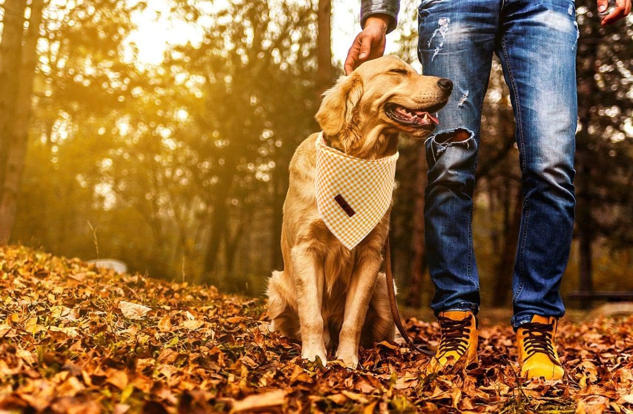 Lionet Paws Dog Bandana for Small Medium Large Dogs, Cat Dogs Kerchief Triangle Bibs Scarf for Girl or Boy