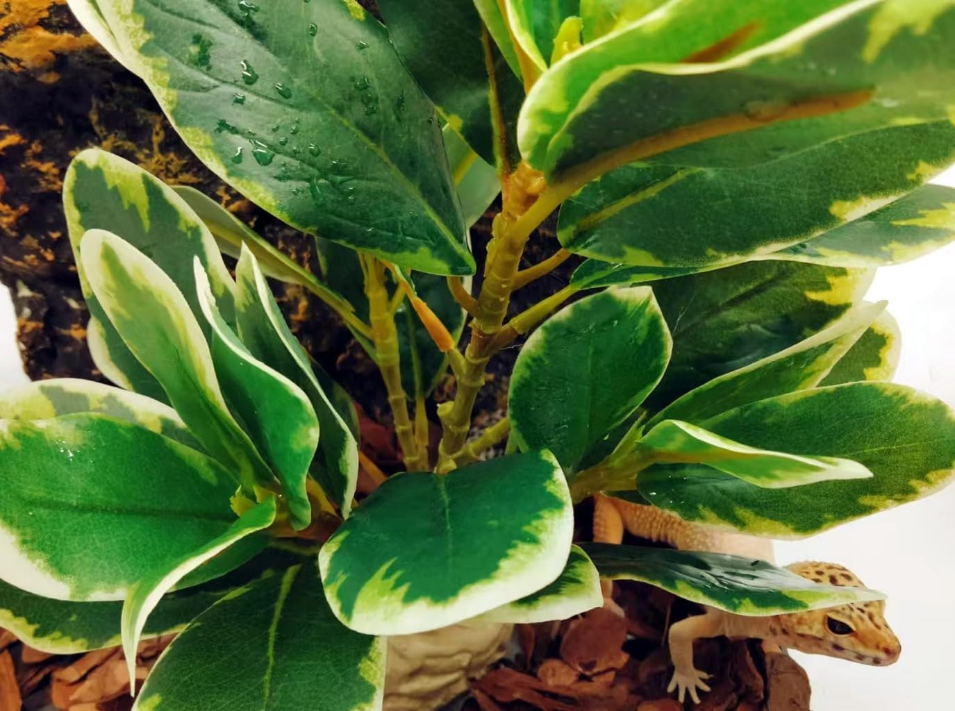 Reptile Plants Terrarium Artificial Leaves Reptile Tank Decorations for Bearded Dragon Lizard Snake Geckos Chameleon Amphibian Habitat Terrarium Decor