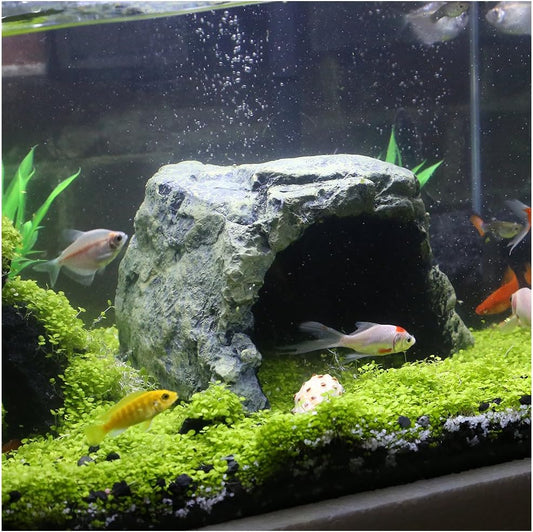 Reptile Rock Hide Cave - World 9.99 Mall Reptile Rock Hide Habitat Decoration|Natural,Non-Toxic, Made of Resin | Hideout for Small Lizards, Turtles, Reptiles, Amphibians,Fish