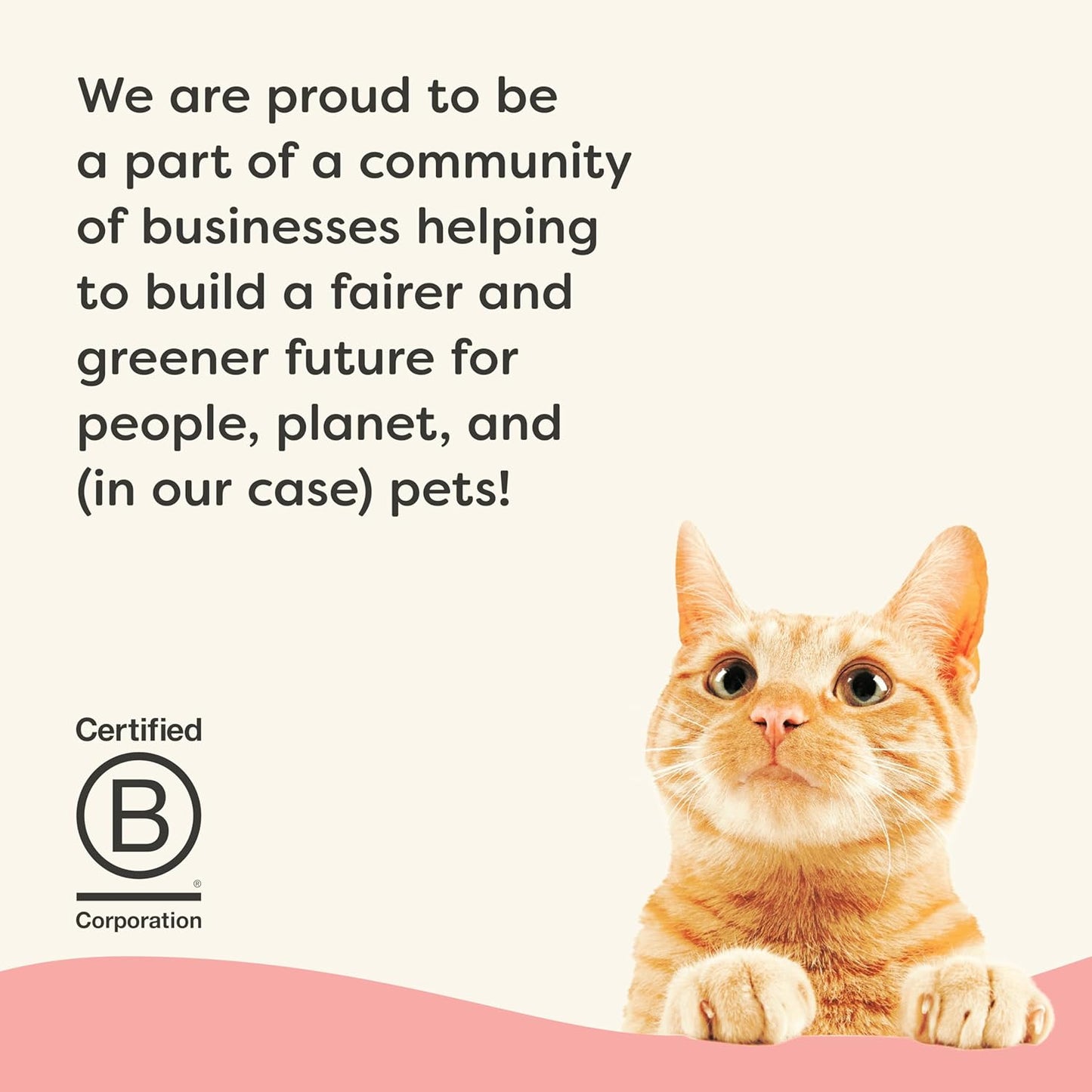 Applaws Vitality Wet Cat Food Paté, Natural Canned Cat Food, Wet Food for Cats with Added Vitamins and Minerals, Grain Free, Carrageenan Free, Tuna Fillet and Salmon (24 Count, 5.5oz Cans)