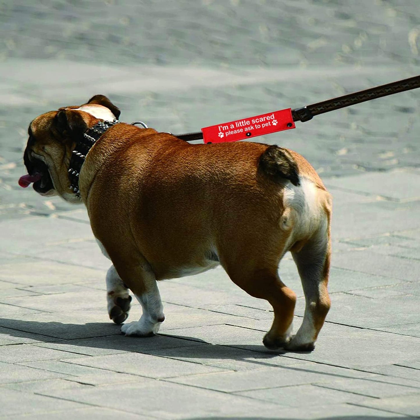 Funny Dog Leash Sleeve I'm a Little Scared Please Ask to pet Leash Wrap Alert Hanging ID Patch Tag Pet Birthday Gift(Little Scared-Sleeve)