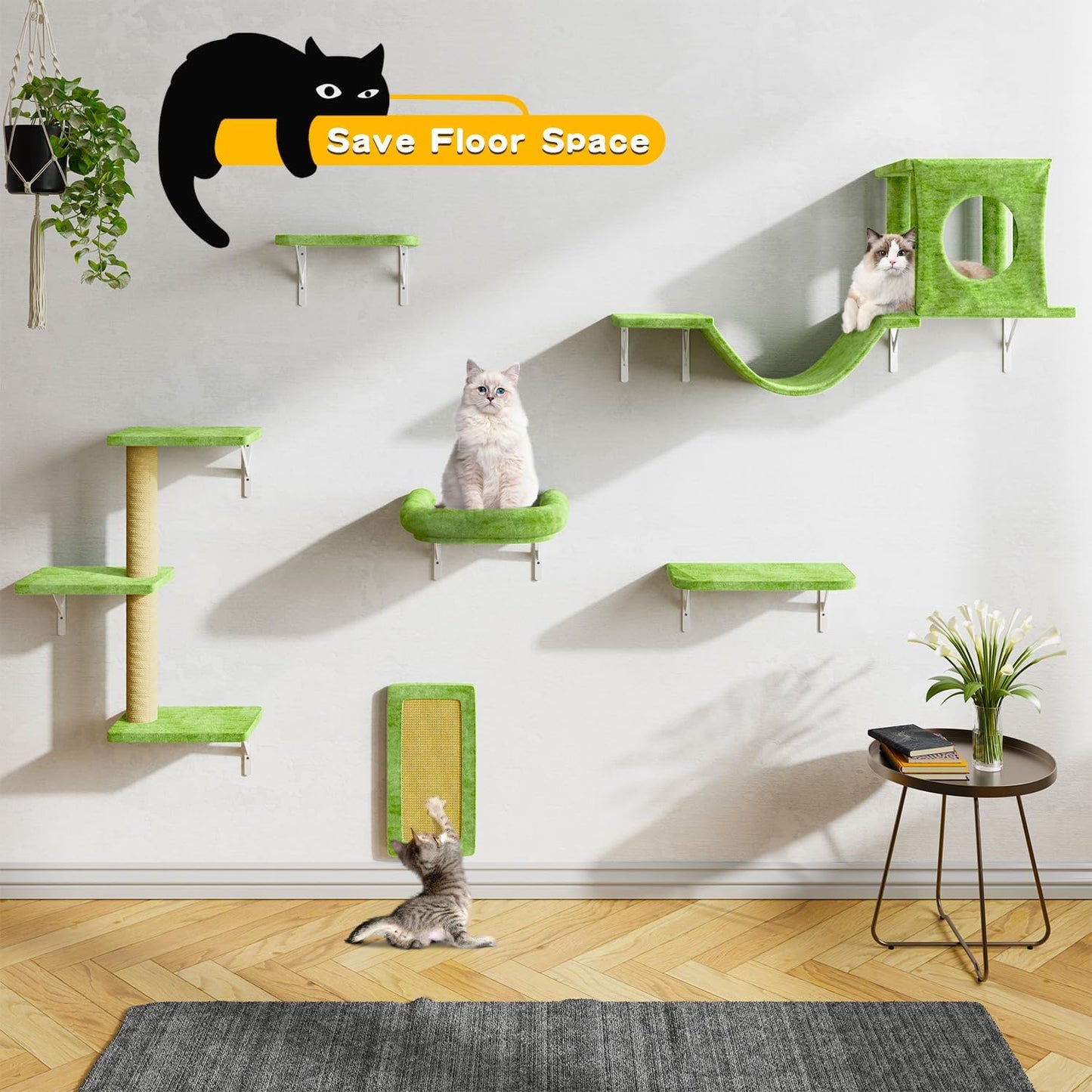 NUNU LAB Cat Wall Shelves, 6 Pcs Luxury Wall-Mounted Cat Climber Set, Indoor Cat Furniture with 1 Condos House, 2 Cat Wall Shelves, 1 Scratching, 1 Bridge Ladder, 1 Scratching Pad, Green