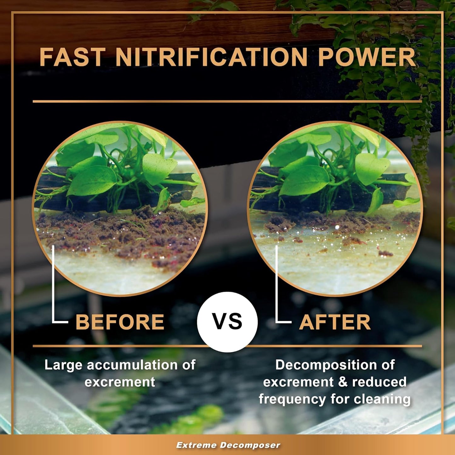 AZOOPLUS BIO XD Extreme Decomposer Nitrifying Bacteria for Freshwater and Saltwater Fish Tank 8.45 Ounces