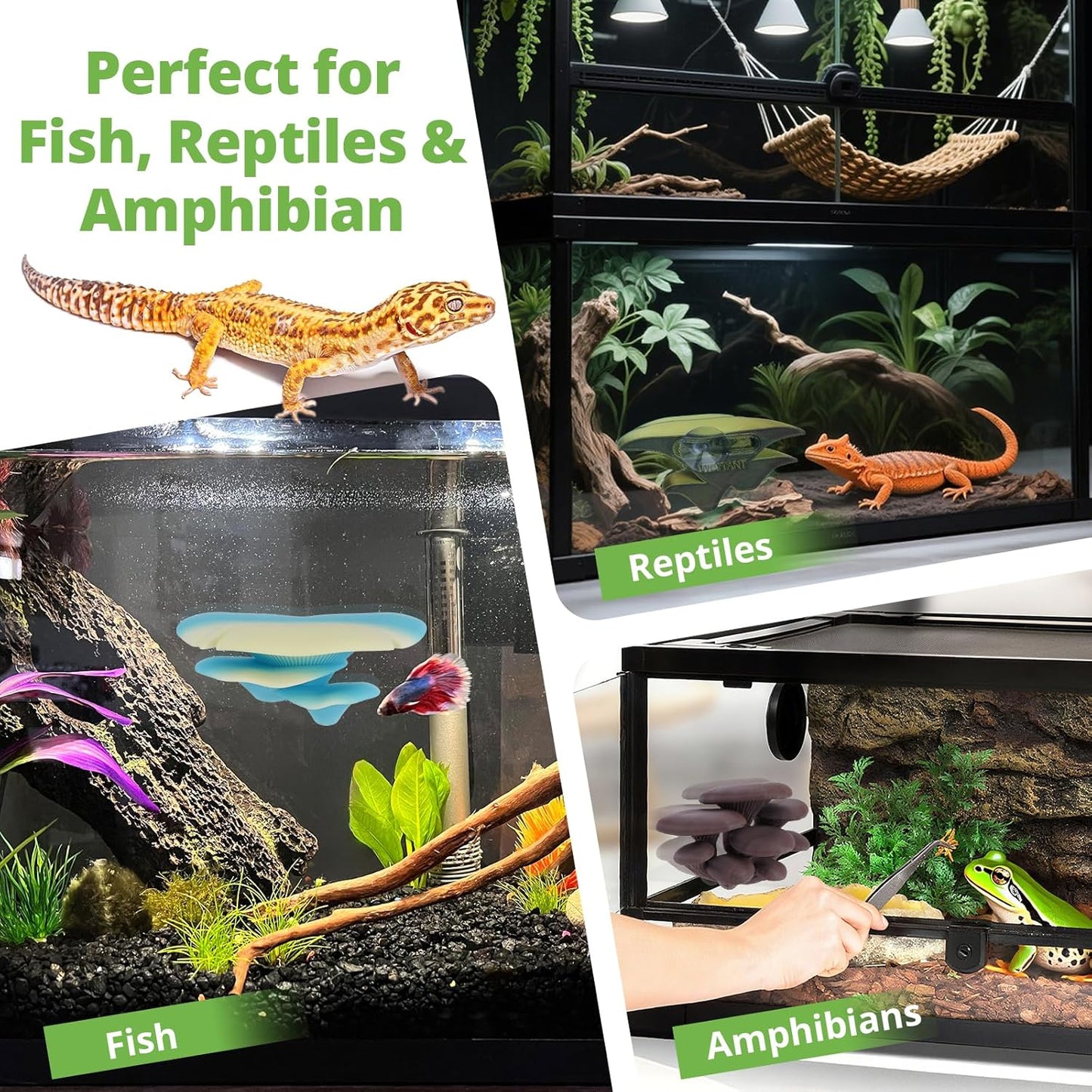 Mushroom Decor for Reptile Tank, Fish Tank, Pet-Safe Bearded Dragon Tank Accessories, Realistic Terrarium Plants for Leopard Geckos, Crested Geckos, Tree Frogs, Snakes (Forest, Trio Cap)