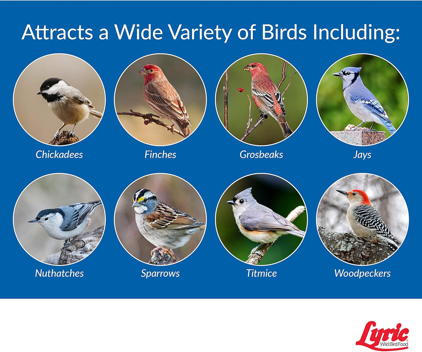 Lyric Wild Bird Mix - Wild Bird Food for Outside Feeders - Attracts Doves, Jays and many more - 20 lb. Bag